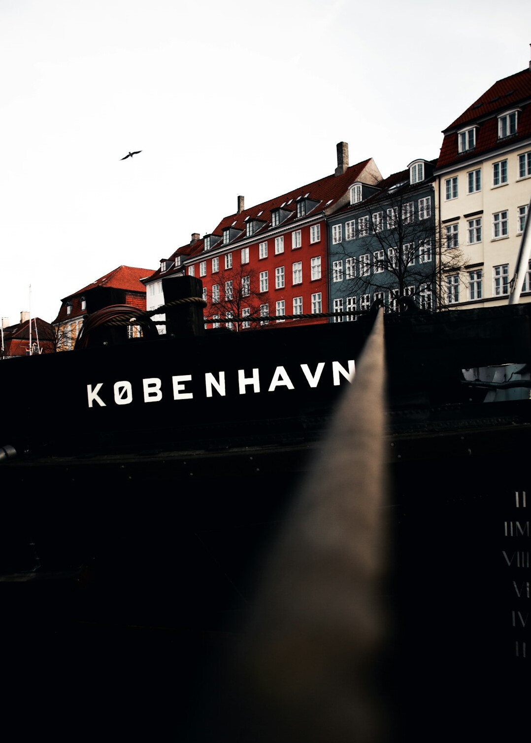 Portrait of a Danish male photojournalist